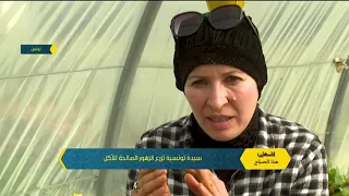 سيدة تونسية تزرع الزهور القابلة للأكل 