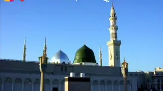 أنظر إلي يا حبيب   أنس ود المنصور دندنها