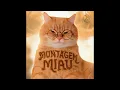 Lagu Montagem Miau (Slowed)