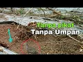 Download Lagu Trik memasang perangkap perkutut tanpa pikat