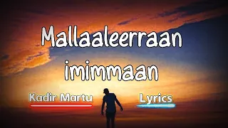 Kadir Martu Mallaaleerraan Imimmaan Oromo Music With Lyrics Official Video 
