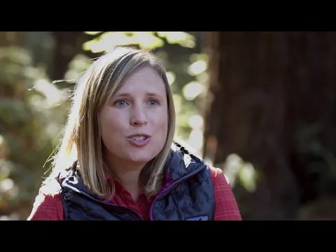 2024 SBIFF Trailer - Giants Rising
