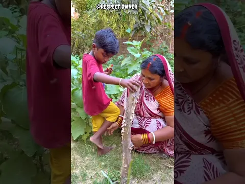 মায়ের জন্য স্ট্রবেরী নিতে গিয়ে কী হল #shorts