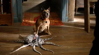 an emotional goodbye to his octopus friend resident alien