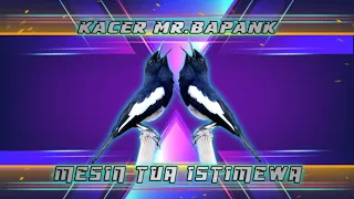 kacer mr bapank tua tua keladi mr rhama idan kmbr