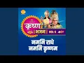 Download Lagu Namami Radhe Namami Krishnam