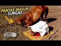 SUBHANALLAH! Inilah 10 Hewan Yang Dijamin Allah Masuk Kedalam Surga
