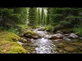 Download Lagu River Flowing Birds Chirping | Relaxing Nature ASMR for Sleep, Study and Stress Relief | 3 Hours