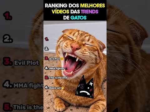 RANKING DOS MELHORES VÍDEOS DAS TRENDS DE GATOS