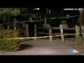 Pregnant mom survives baby being cut out stolen from womb