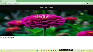Dynamically change background with JavaScript CSS HTML Random image generator HTML DOM