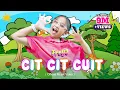 Download Lagu CIT CIT CUIT - FREYA BENETTA | Lagu Anak Cit Cit Cuit (OFFICIAL MUSIC VIDEO) #laguanakindonesia