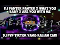 Download Lagu DJ Pantek Pantek X What You Baby X Are You With Me Viral Tiktok || DJ Viral Tiktok Terbaru 2021