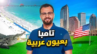 مدينة تامبا   عاصمة العرب القادمة في امريكا دندنها