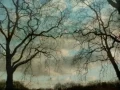 Download Lagu Lisa Gerrard - The End (amazing cut)