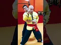 Download Lagu How to Train Like a Kung Fu Master