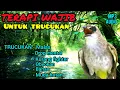 Download Lagu TERAPI TRUCUKAN MACET BUNYI, SEKALI PUTAR AUTO GACOR \u0026 ROPEL, SUARA TRUCUKAN PEMBANGKIT MENTAL DROP.