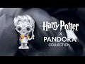 HARRY POTTER x Pandora Charms Collection - Winter 2019
