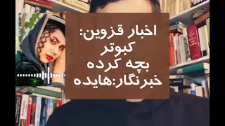 اخبار قزوین کبوتر بچه کرده خبرنگار هایده 