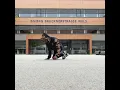 Turtles - Bboy Breaking Tutorial