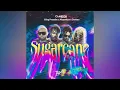 Camidoh - Sugarcane Remix (Feat. King Promise, Mayorkun & Darkoo) (Official Audio Slide)