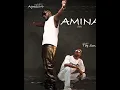 Agressivo Nyandoro feat TopSon - Amina (Audio)