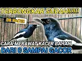 Download Lagu BONGKAR FULL CARA MUDAH MERAWAT KACER BAHAN CEPAT GACOR || DR KACER TERBARU