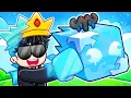 I Awakened ICE FRUIT and ITS EPIC in Blox Fruits Roblox