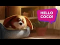 Download Lagu Coco relocates easily!