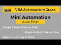 VBA Macro Filter VBA Auto Filter Auto Filter in Excel VBA