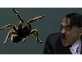 Download Lagu Hitler is scared of spiders