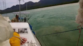 WE RUN AGROUND!!! (no big deal) – Free Range Sailing Ep 60