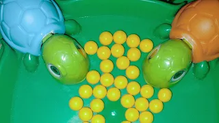                                                                                دندنها