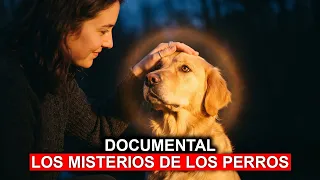Documental: Los Misterios de los PERROS Revelados