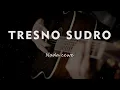 TRESNO SUDRO // KARAOKE GITAR AKUSTIK TANPA VOKAL NADA CEWE ( FEMALE )
