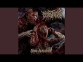 Download Lagu Human Depravation