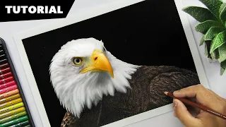 Download How to Draw an EAGLE with Colors | Tutorial for BEGINNERS MP3