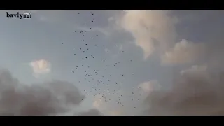 حالات وتس دا بردو كلام عشنا العمر نربي حمام حمزه نميرا 