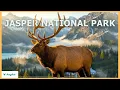 Jasper National Park The Canadian Rockies Like You ve Never Seen Before