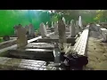 Download Lagu Makam KH Amin Sepuh Babakan Ciwaringin Cirebon
