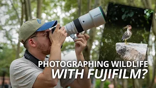 FUJIFILM's Newest Wildlife Lens: The FUJINON XF 400mm f/4.5