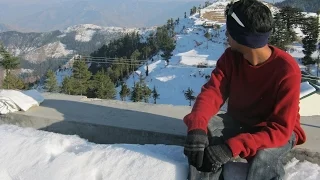 background music by bunny 2 must listen 