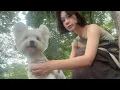 Download Lagu 여느때와 같이 산책하다가.. 세상에