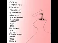 Download Lagu ALBUM D
