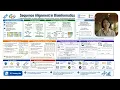 Sequence Alignment in Bioinformatics Explained