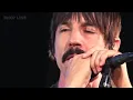 Red Hot Chili Peppers - Dark Necessities (live acoustic version)