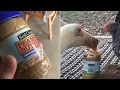 do chickens LIKE peanut butter I guess we ll find out