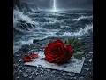 Roses In The Rain