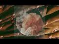 Download Lagu Love Permeator - Heartache