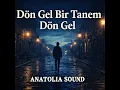 Dön Gel Bir Tanem Dön Gel Cover – Anadolu Folk Rock | Anatolia Sound